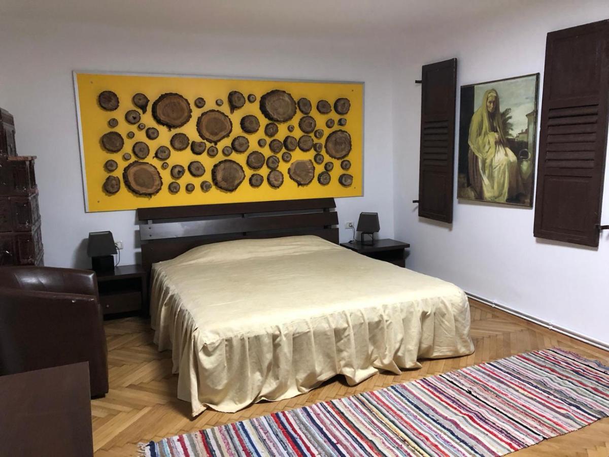 Garsoniera Centru Brasov Διαμέρισμα Εξωτερικό φωτογραφία